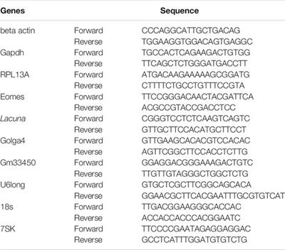 Long Non-Coding RNA Lacuna Regulates Neuronal Differentiation of Neural Stem Cells During Brain Development